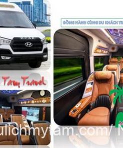 Limousine Hang Sang 9 Cho Copy 5