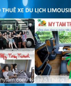 Cho Thue Xe Du Lich 4 7 9 11 16 29 45 Cho My Tam Travel